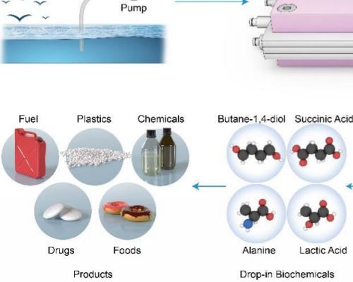 性能提升秘籍 | 如何打造闪电般快速的 BeikeShop